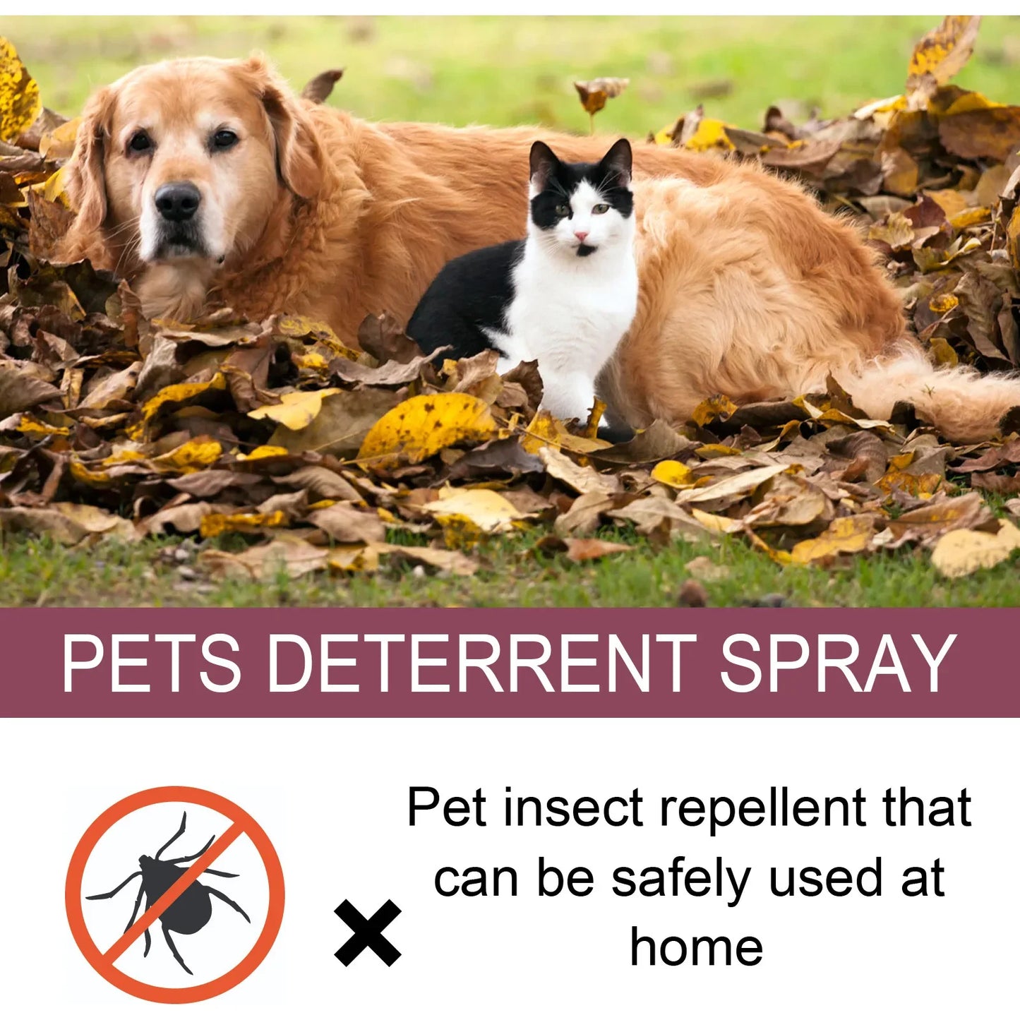 Spray Anti-Puces et Moustiques – Soin Répulsif Naturel